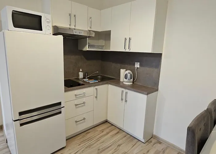 アパートホテル Mva House Teplice, Sanovsky Park