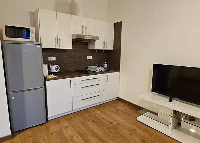 Mva House Teplice, Sanovsky Park アパートホテル
