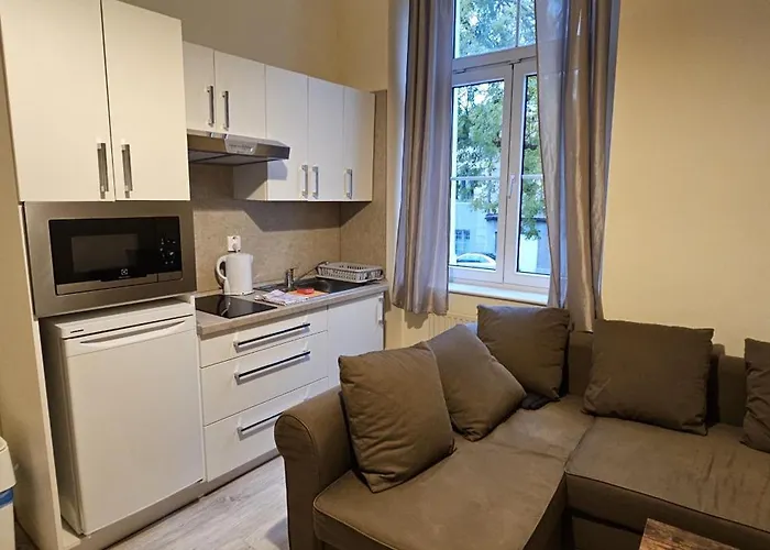 アパートホテル Mva House Teplice, Sanovsky Park テプリツェ